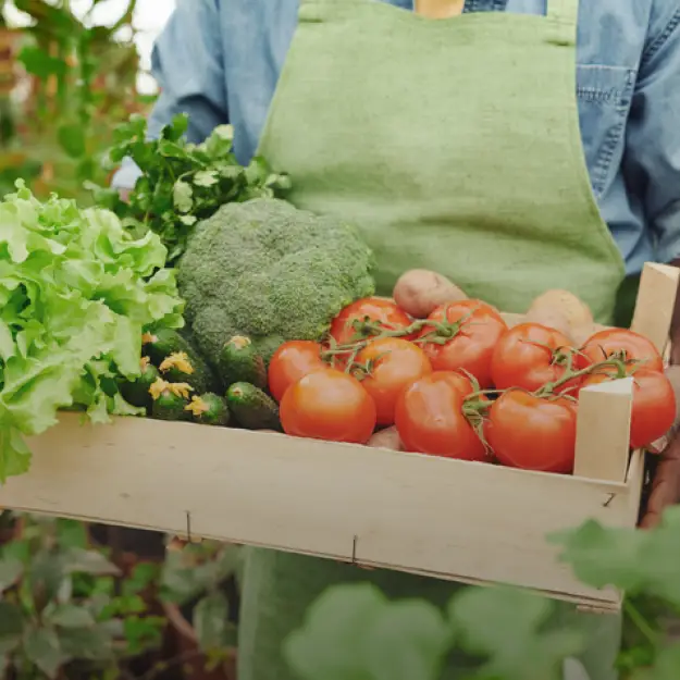 Food & Agriculture
